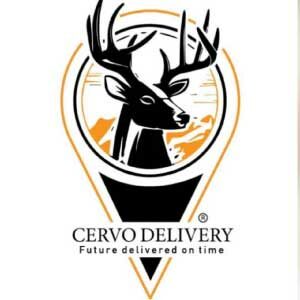 Cervo App Integration | Foodics Restaurant App Marketplace