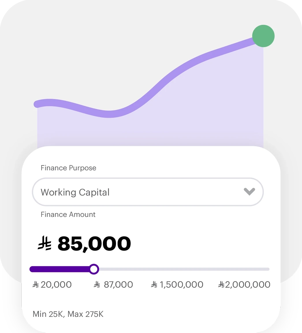 Select a financing amount and repayment terms.